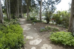 Hidden Garden Path at Green Spring Gardens